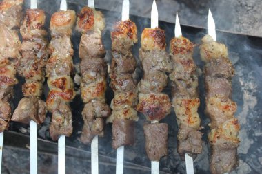 Doğa mangal üzerinde şaşlık yemek