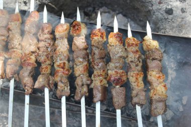 Doğa mangal üzerinde şaşlık yemek
