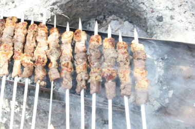 Doğa mangal üzerinde şaşlık yemek