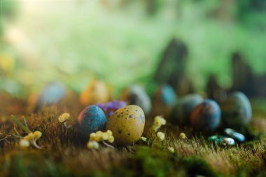 Paskalya yumurtaları yeşil çimlerde bulanık arka planda..
