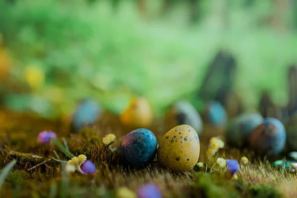 Easter Colored Eggs Green Grass Blurred Background — Stock Photo, Image