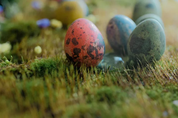 Пасхальные Яйца Зеленой Траве Размытым Фоном — стоковое фото