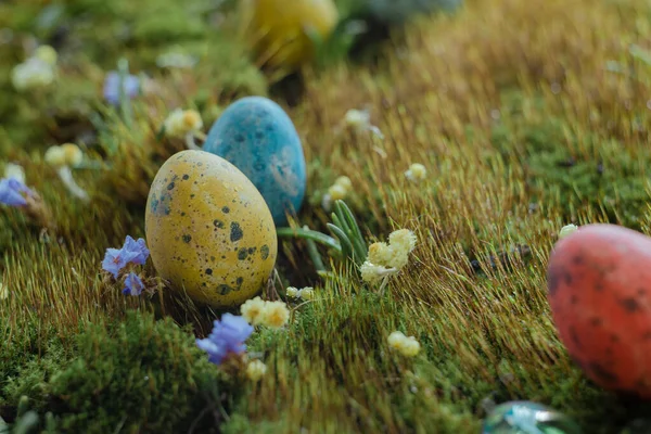 Пасхальные яйца на зеленой траве с размытым фоном — стоковое фото
