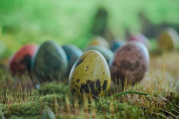 Пасхальные Яйца Зеленой Траве Размытым Фоном — стоковое фото