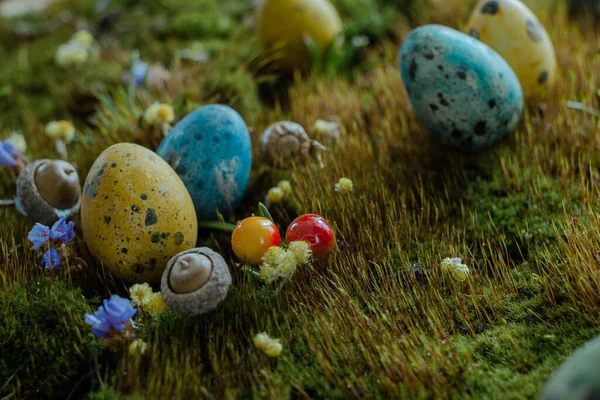 Easter Colored Eggs Green Grass Blurred Background — Stock Photo, Image