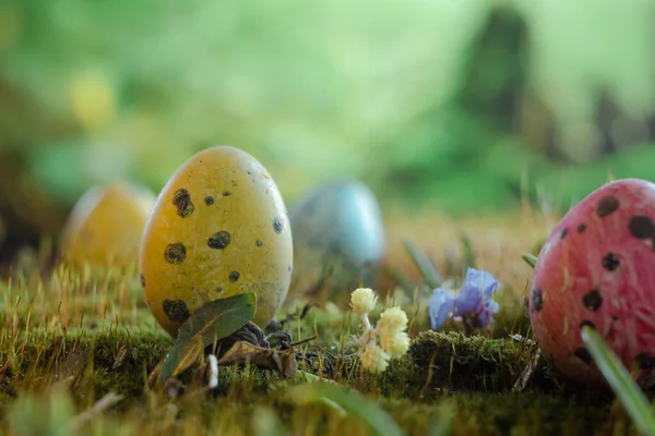 Ovos Páscoa Coloridos Grama Verde Com Fundo Desfocado — Fotografia de Stock