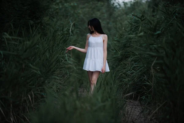 Doğada, nehrin kenarında kısa beyaz elbiseli güzel seksi kız..