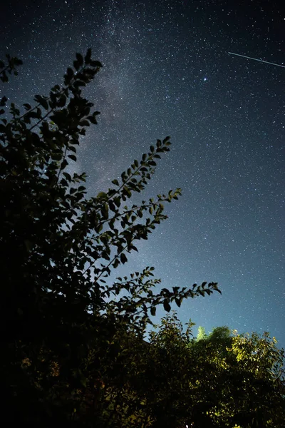 Night Summer Starry Sky Ukraine — Foto de Stock