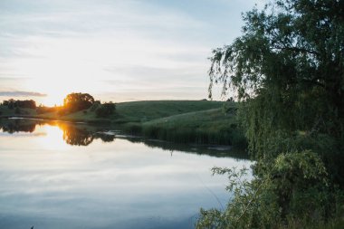 Yaz güneşli akşamları, tarla bitkileriyle birlikte göletin yanında. Ukrayna.