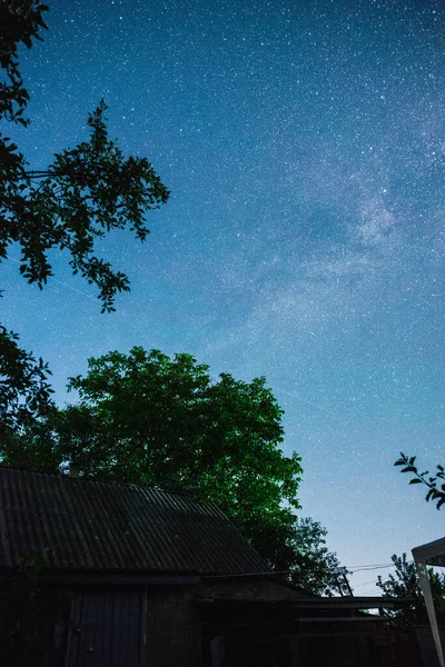 Cielo Estrellado Prado Verano Con Árbol Alto Nivel Ruido — Foto de Stock