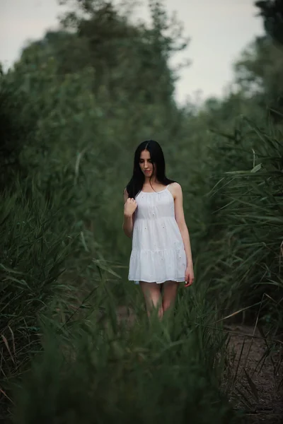 Beautiful Sexy Girl Short White Dress Nature River — Fotografia de Stock