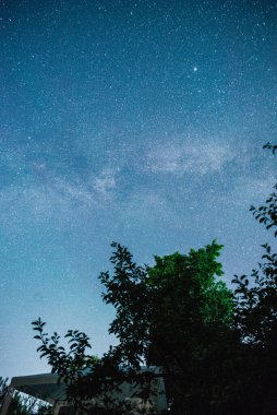 Yıldızlı gökyüzü ve ağaçlı yaz çayırı. Yüksek ses düzeyi