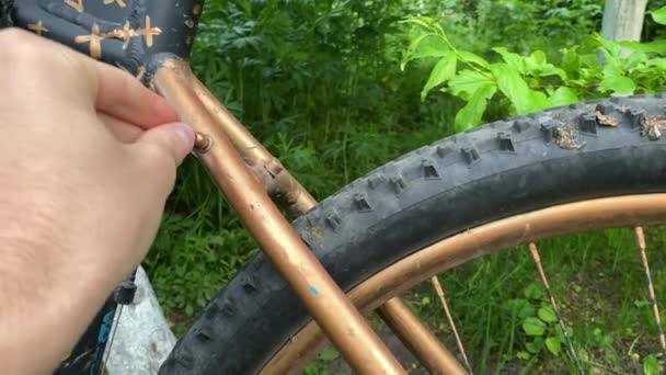 Homem Repara Uma Bicicleta Parque Com Fundo Embaçado Imagens Alta — Vídeo de Stock