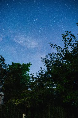 Yıldızlı gökyüzü ve ağaçlı yaz çayırı. Yüksek ses düzeyi