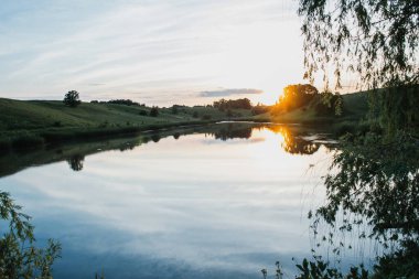 Yaz güneşli akşamları, tarla bitkileriyle birlikte göletin yanında. Ukrayna.