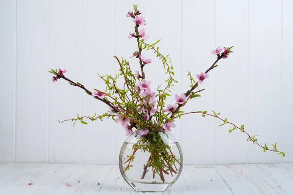 Blossoming Peach Branches Glass Vase White Background — Stock Photo, Image