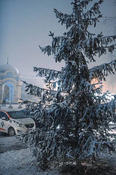 夜城的第一场雪 公园里被雪覆盖的圣诞树 — 图库照片