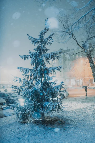 Gece Şehrindeki Ilk Kar Yağışı Parkta Karla Kaplı Noel Ağaçları — Stok fotoğraf
