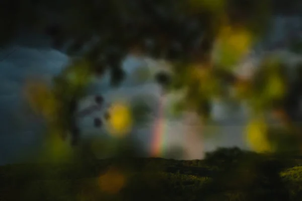 Arc Ciel Après Orage Dans Les Montagnes Soir Été Coucher — Photo