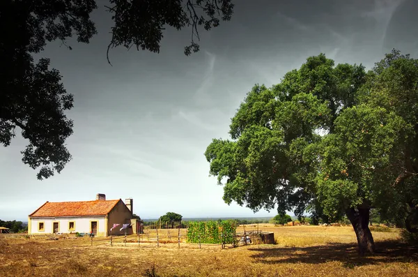 Little Rural House — Stock Photo, Image