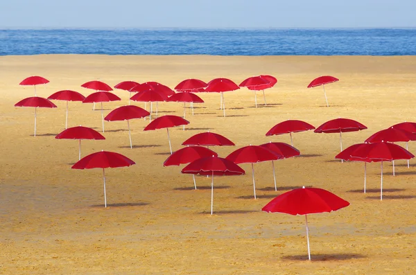 Rote Regenschirme — Stockfoto