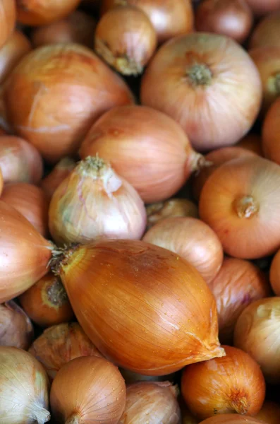 Onions — Stock Photo, Image