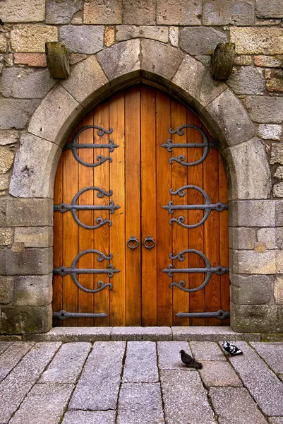 Porta do castelo — Fotografia de Stock