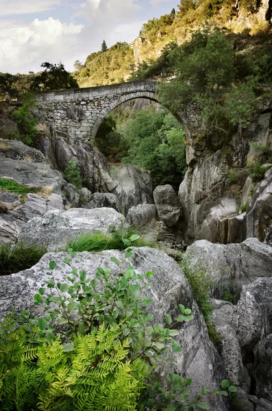 Ponte Românica Antiga — Fotografia de Stock