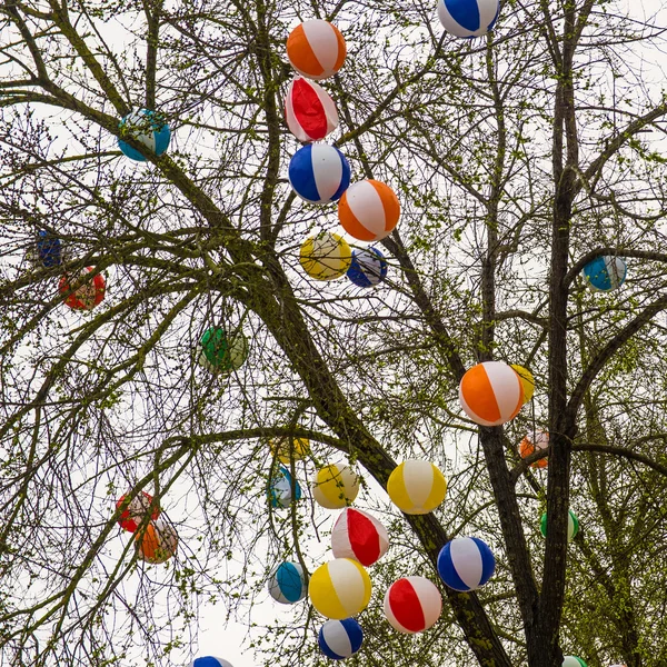 Bolas de colores acechando en el árbol — Foto de Stock