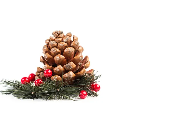 Christmas Decoration Pine Cones White Background Copy Space — Stock Photo, Image