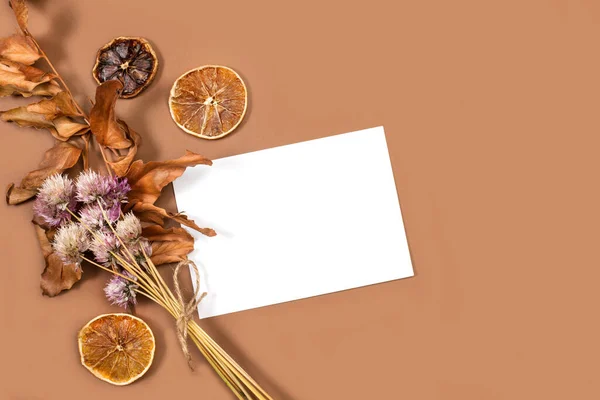 Dried Leaves Fruits Blank Paper Brown Background Copy Space — Zdjęcie stockowe