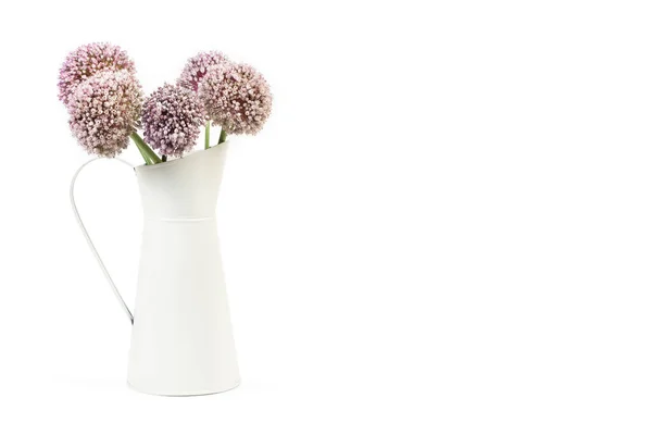 Wild Garlic Flowers Metal Jar White Background Copy Space — стоковое фото