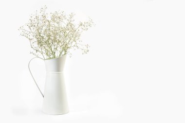 Metal bir sürahi içinde, beyaz bir arkaplanda, kopyalama alanı olan bir demet Gipúila.