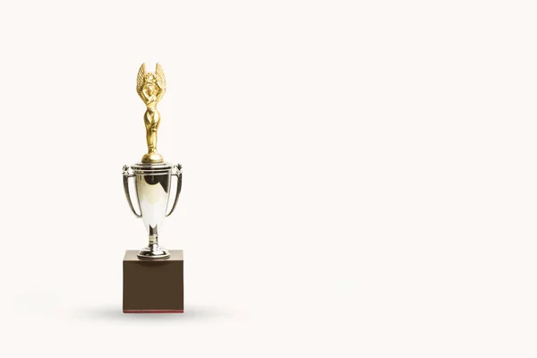 Metal Trophy Wooden Base White Background Copy Space — Stock Photo, Image