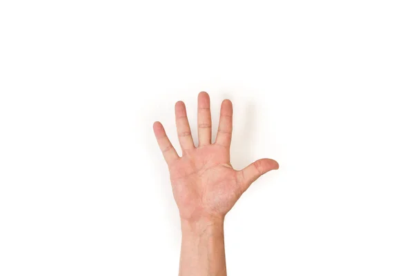 Erkek Eli Avucunu Gösteriyor Beyaz Arka Planda Beş Parmağı Var — Stok fotoğraf