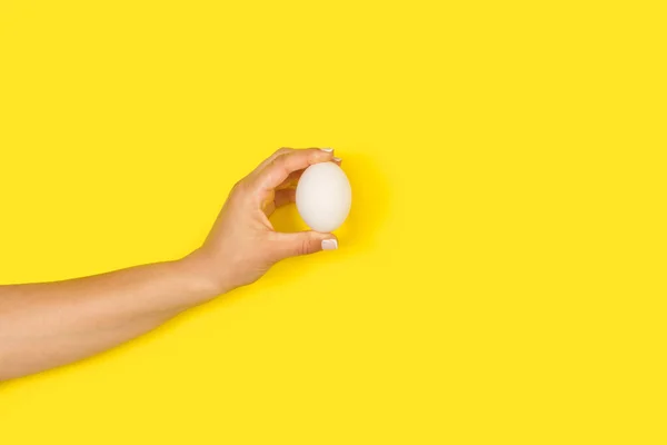 Woman Hand Holding Chicken Egg Yellow Background Copy Space — стоковое фото