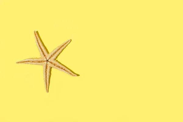 Sarı Arka Planda Kopyalama Alanı Olan Sarı Bir Denizyıldızı — Stok fotoğraf