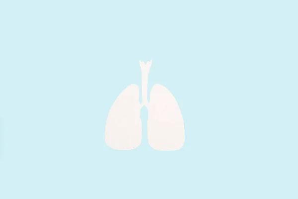 White Paper Lungs Light Blue Background Copy Space — Stock Photo, Image