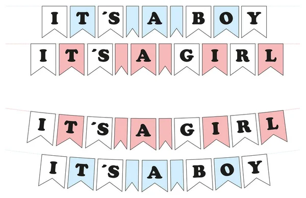 Pink Light Blue Its Boy Its Girl Garlands White Background — Foto de Stock