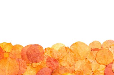 Kopyalama alanı olan beyaz bir arkaplanda kuru yapraklar