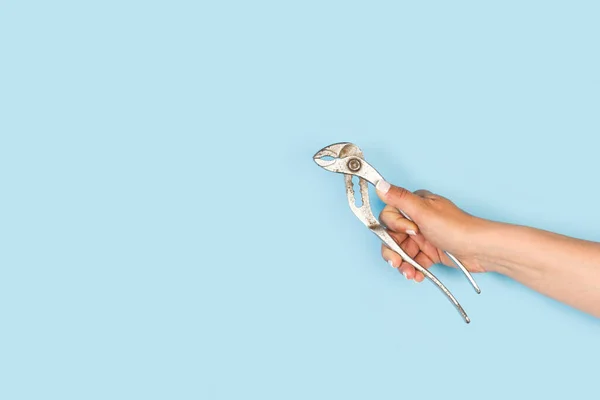 Woman hand holding a parrot beak pliers on a light blue background with copy space