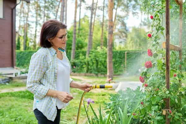 Middle-aged woman in the backyard watering rose bushes from the garden hose — Stock Photo, Image