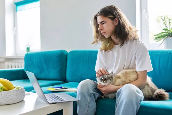 Guy adolescente estuda em casa online com um laptop e um gato de estimação — Fotografia de Stock