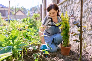 Elinde kürekle bahçe eldivenleri olan çiçek eken bir kadın.