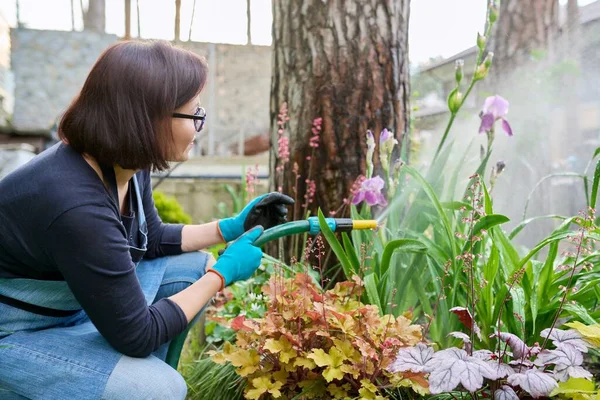 Vrouw water geven planten in een bloembed in de achtertuin met behulp van een slang. — Stockfoto