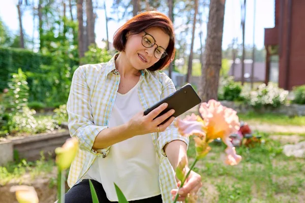 Γυναίκα στον κήπο άνοιξη απολαμβάνοντας την ομορφιά της ίριδας λουλούδια λήψη φωτογραφιών της ίριδας με smartphone — Φωτογραφία Αρχείου