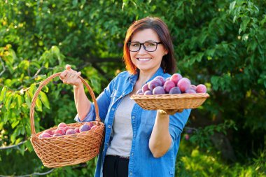 Orta yaşlı bir kadın sepetinde olgun erik hasadıyla kameraya bakıyor.