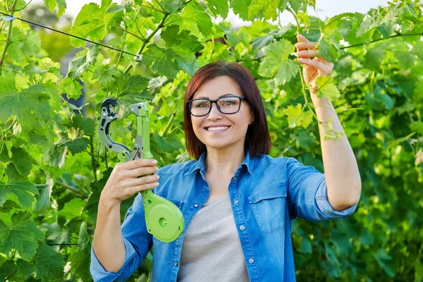 Portret van een vrouwelijke tuinman die kousenband maakt van wijnstruiken in wijngaarden — Stockfoto