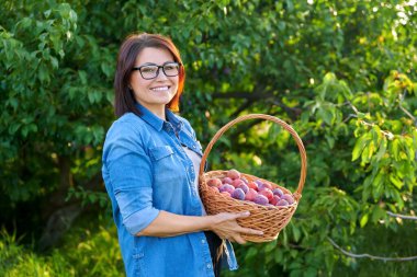 Orta yaşlı bir kadın sepetinde olgun erik hasadıyla kameraya bakıyor.