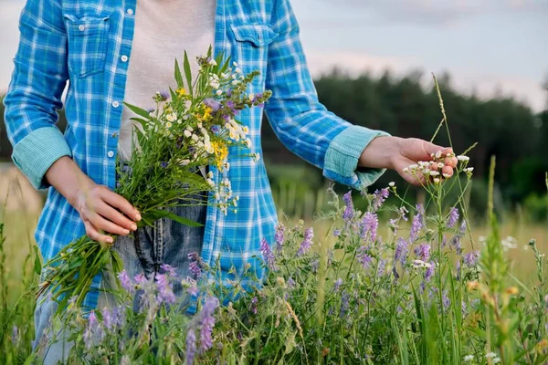 夏の畑に咲く植物に触れる畑のハーブや花の花束を持つ女性 — ストック写真